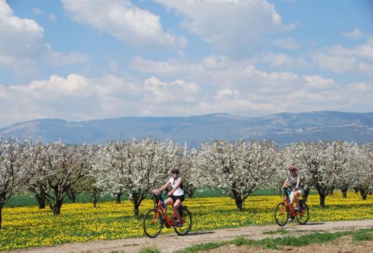 Vignobles du Prosecco, Italie à vélo