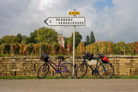 From Dijon to Beaune by bike on the Grands Crus route