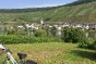 Moselle River by bike