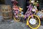 vélo jaune Pays-Bas Amsterdam