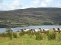 Connemara and Ireland by bike in 5 days