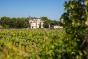 vineyards and castle near Blaye