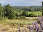 Le Tour de Gironde à vélo, sur la route des grands vins