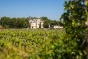 vignes et château près de Blaye